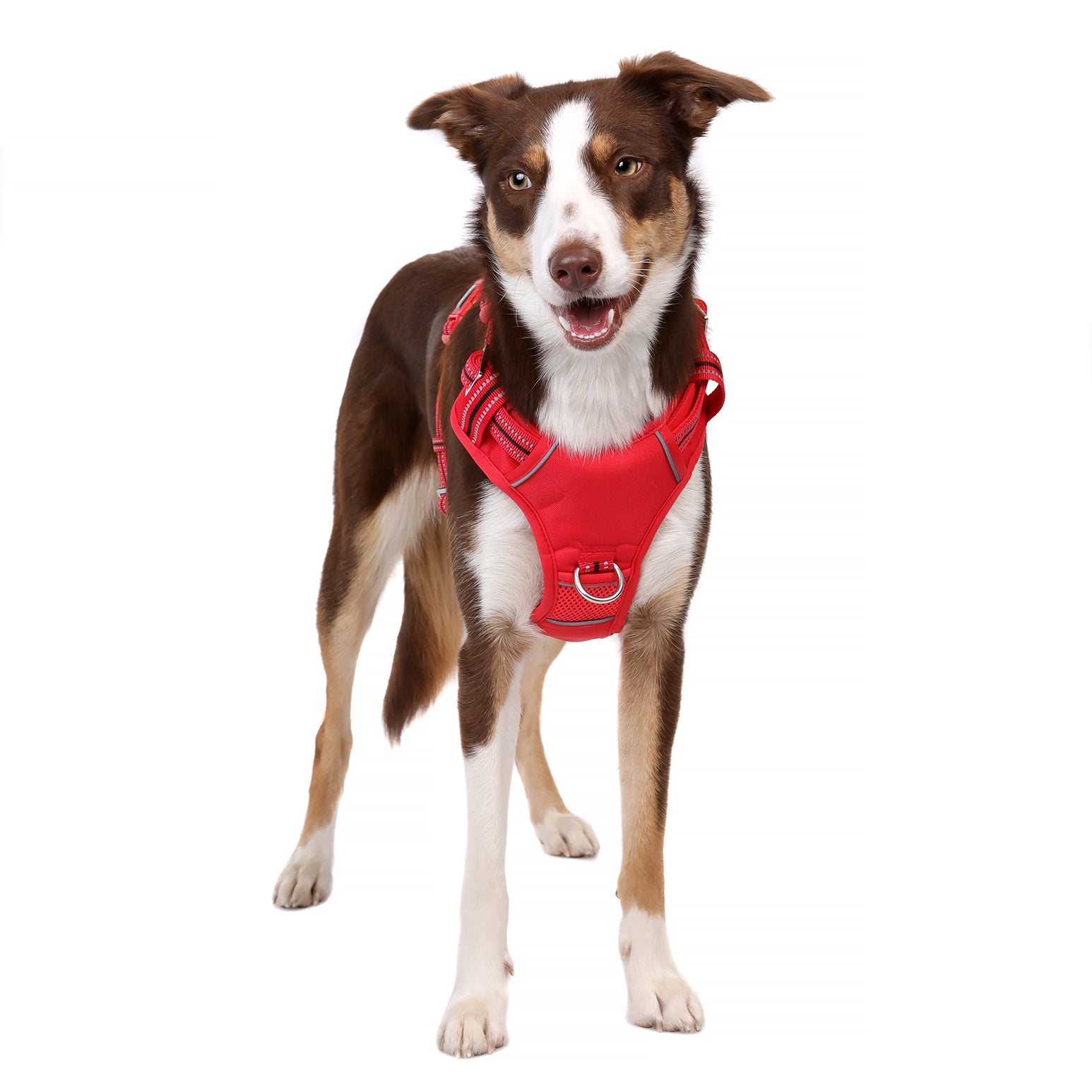 Neotech Control Harness - RED