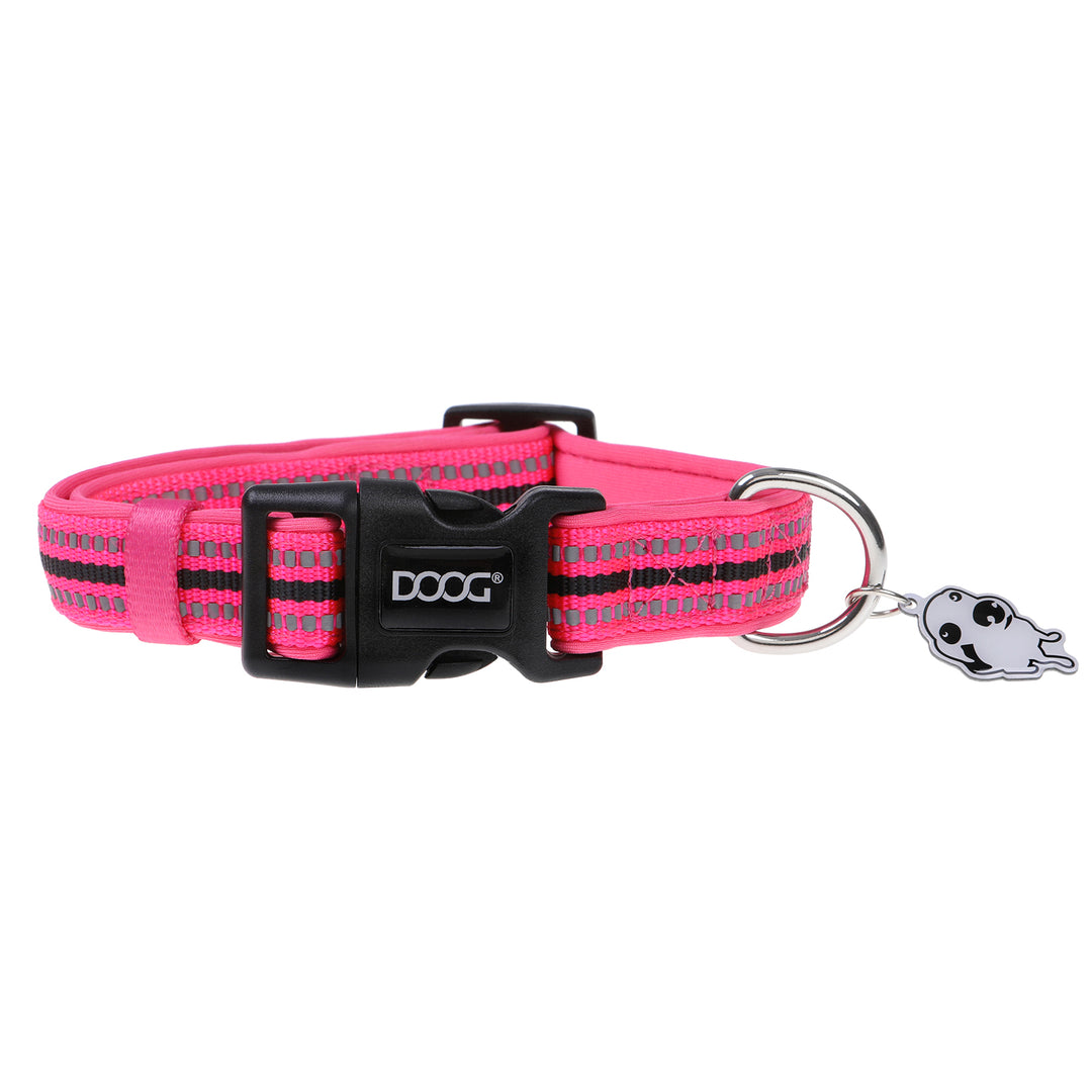 Dog collar outlet