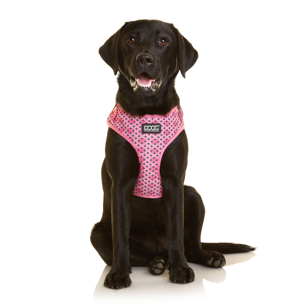 Dog 2024 harness fuzzyard