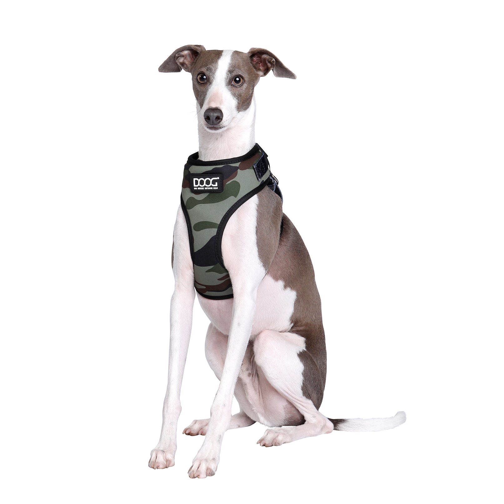 Neoflex Soft Harness - BRUISER