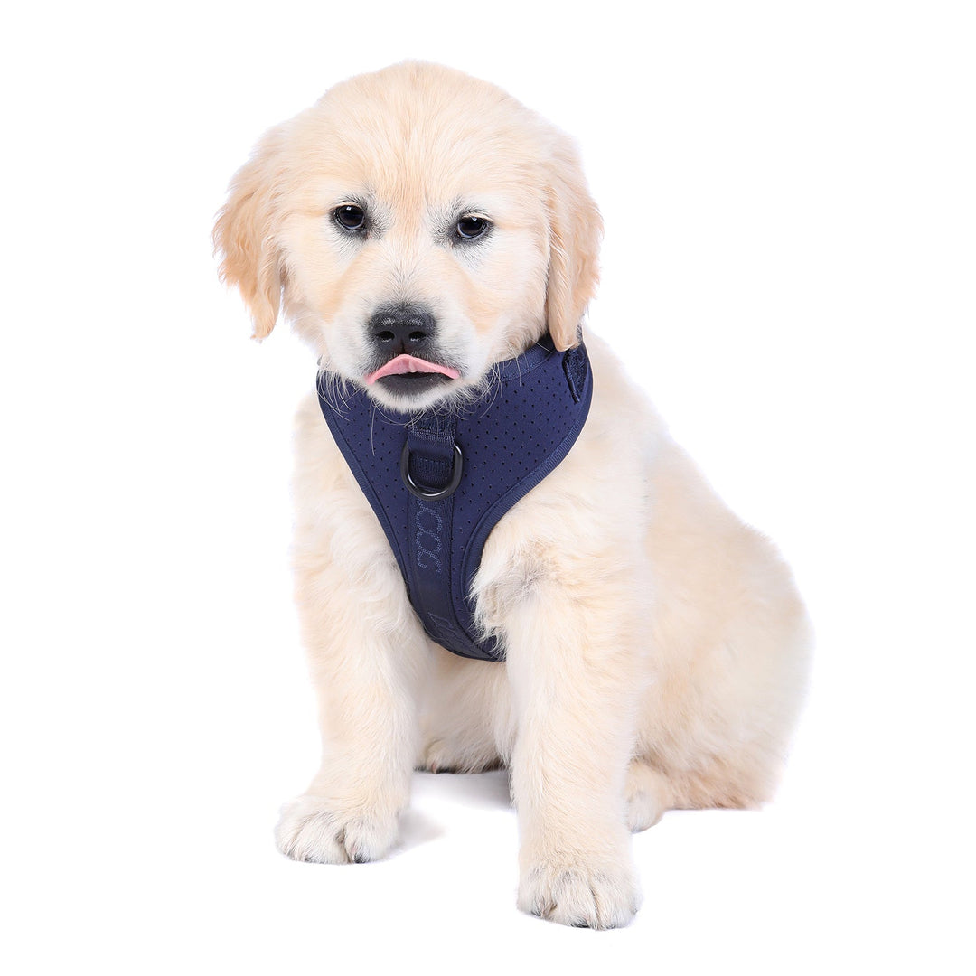 Fashion navy dog harness