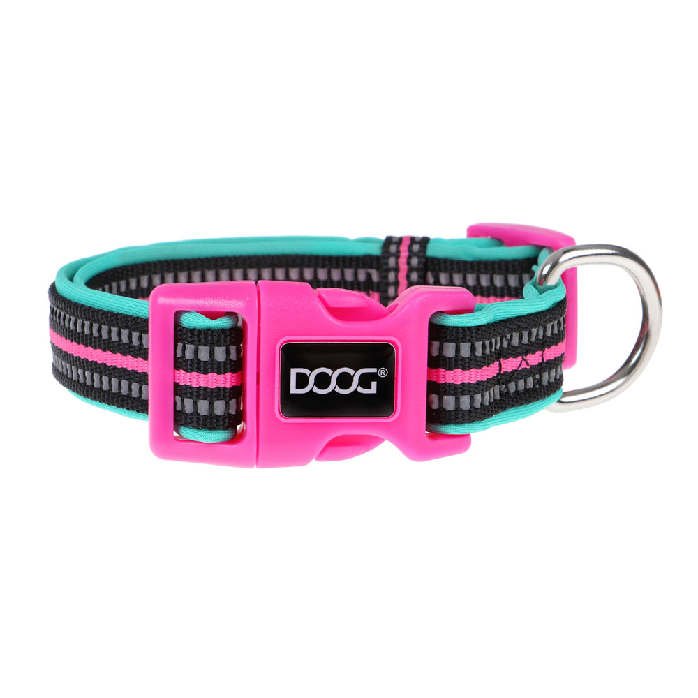 Neoprene Dog Collar - RIN TIN TIN (NEON)