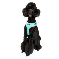 Neoflex Soft Harness - RIN TIN TIN (NEON)