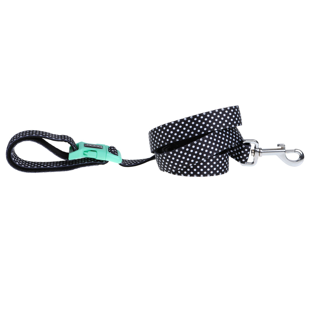 Dog leash with clip apart handle best sale